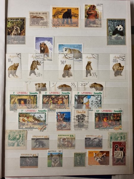 galleryimage 2 zoomed in