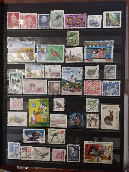 galleryimage 2 zoomed in