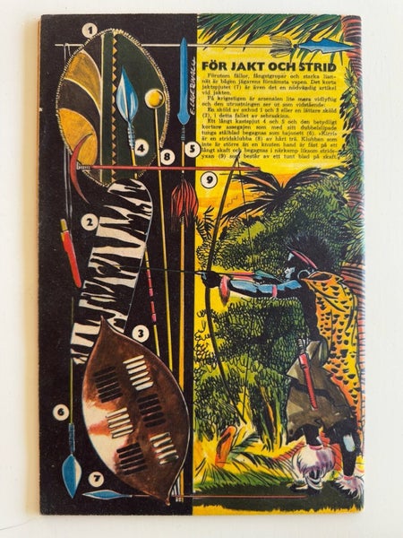 galleryimage 3