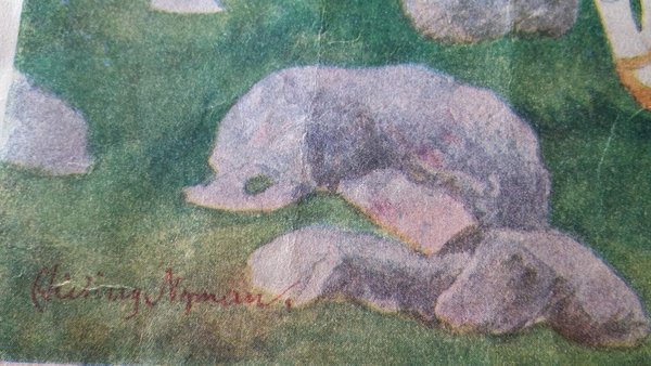 galleryimage 2 zoomed in