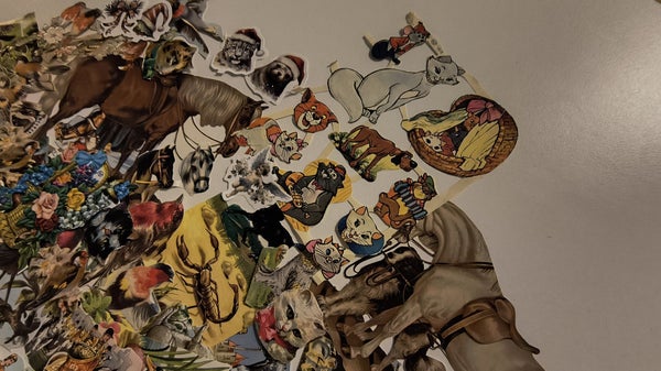 galleryimage 3
