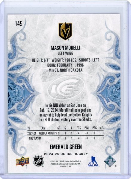 galleryimage 2 zoomed in