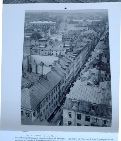 galleryimage 3