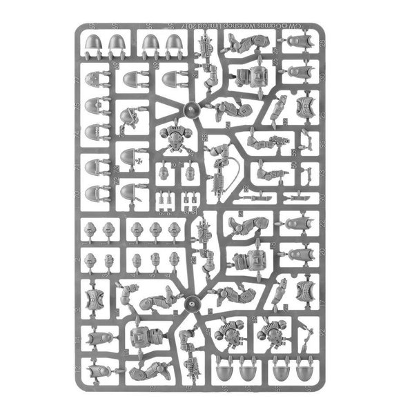 galleryimage 2
