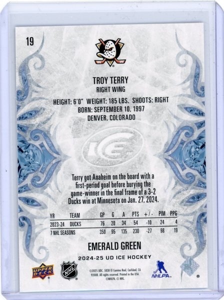 galleryimage 2 zoomed in