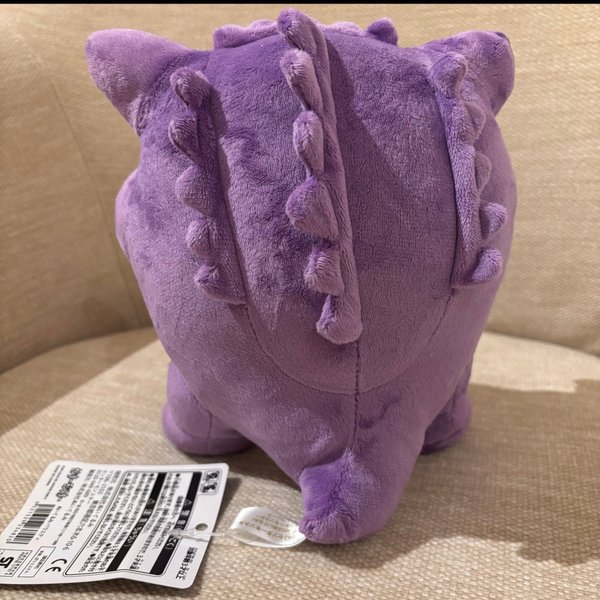 galleryimage 2 zoomed in