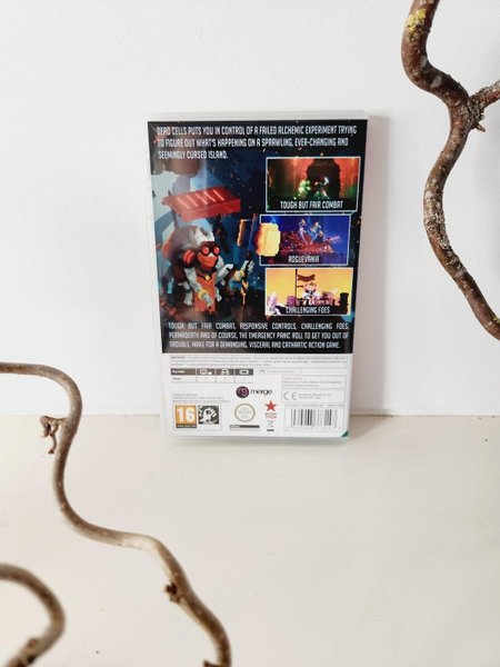 galleryimage 3