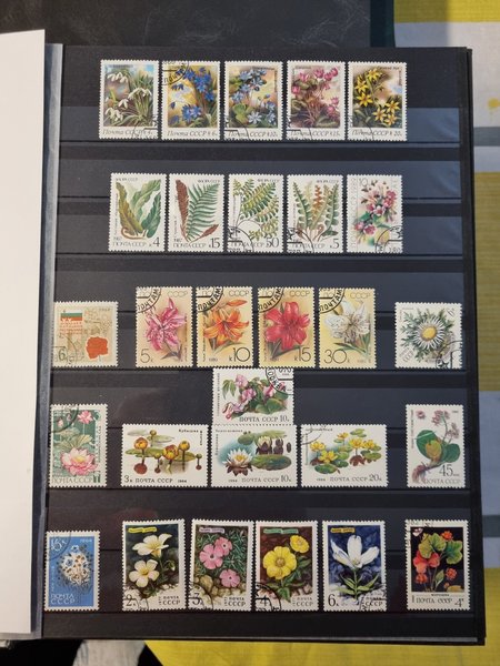 galleryimage 2 zoomed in