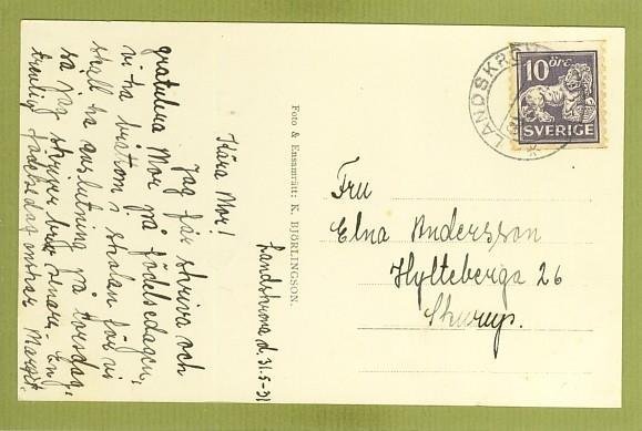 galleryimage 2 zoomed in