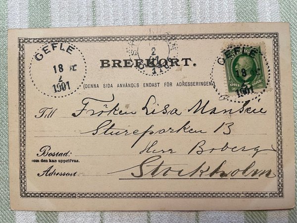 galleryimage 2 zoomed in