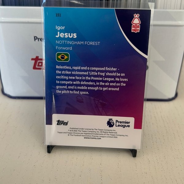 galleryimage 2 zoomed in