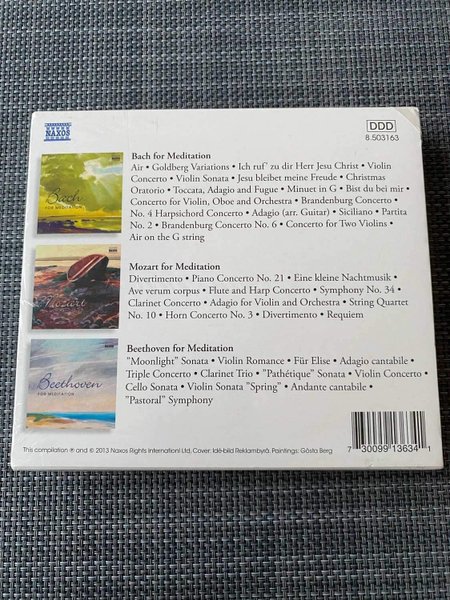 galleryimage 2 zoomed in