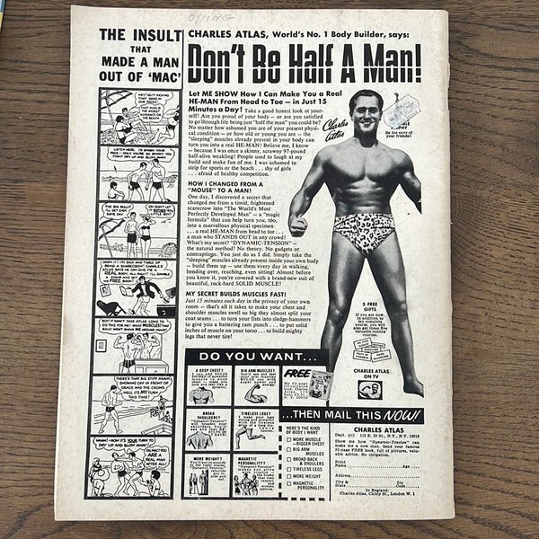 galleryimage 2 zoomed in