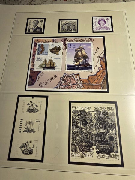 galleryimage 3
