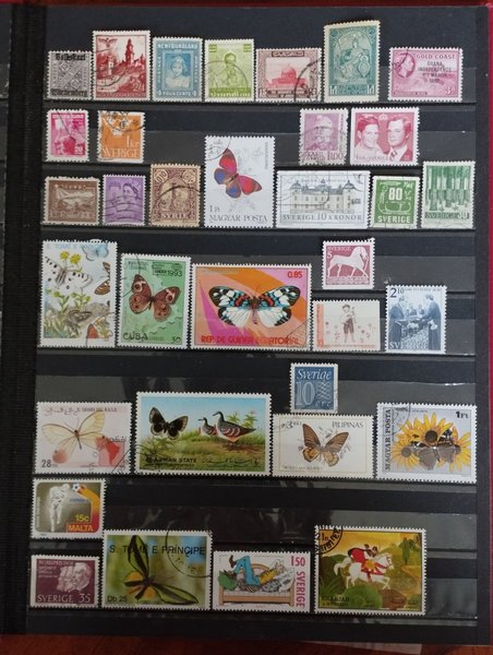 galleryimage 2