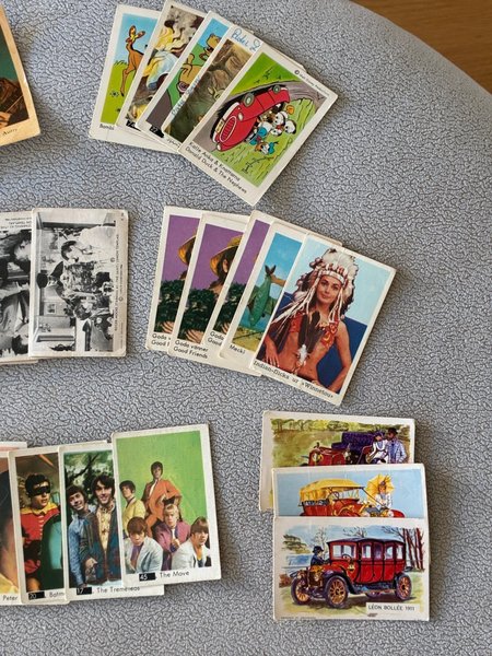 galleryimage 2