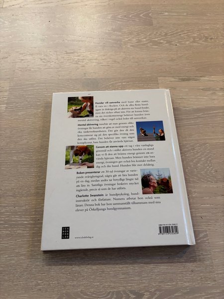 galleryimage 2 zoomed in