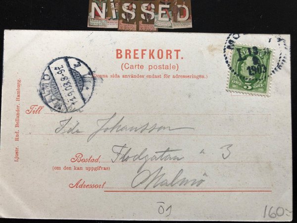 galleryimage 2 zoomed in