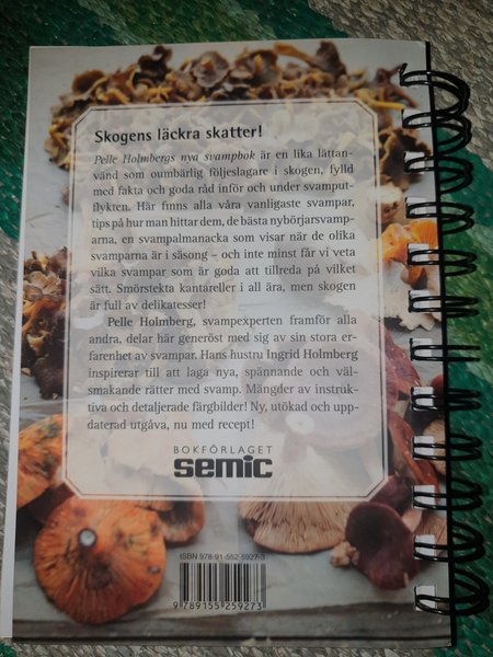 galleryimage 2 zoomed in