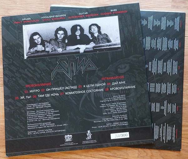 galleryimage 2 zoomed in