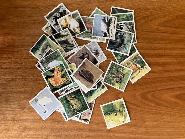 galleryimage 3
