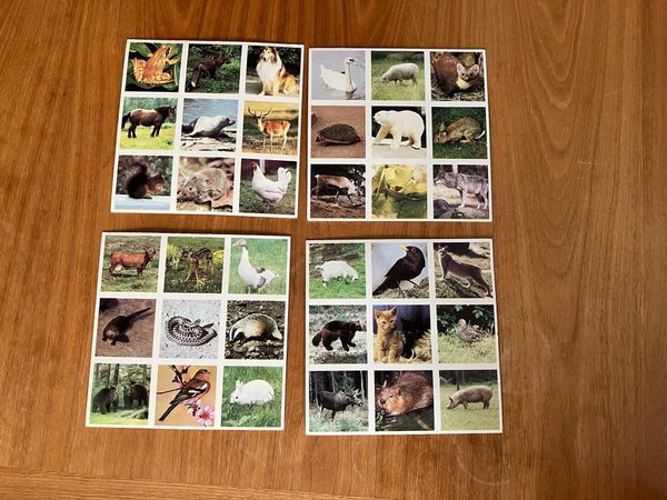 galleryimage 2