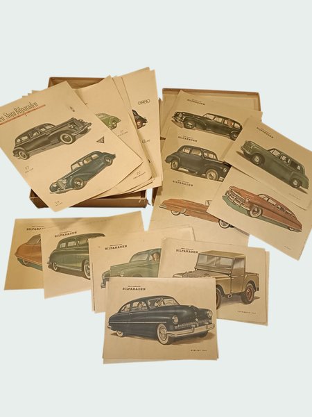 galleryimage 2 zoomed in