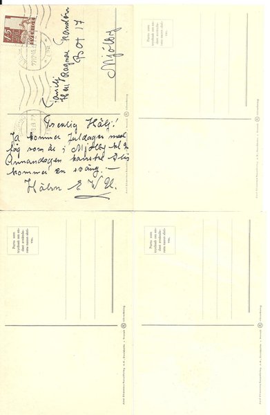 galleryimage 2 zoomed in