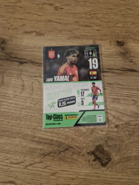 galleryimage 2 zoomed in