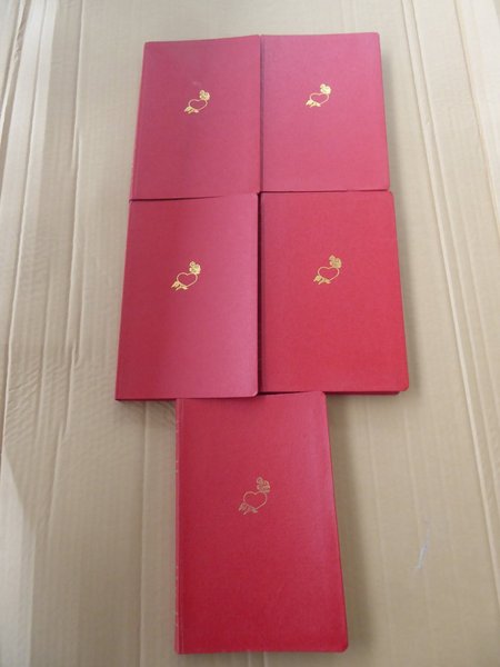 galleryimage 2