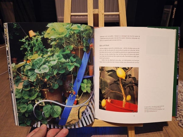 galleryimage 3