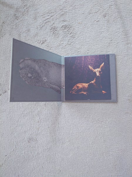 galleryimage 3