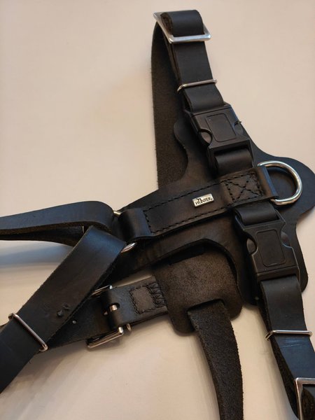 galleryimage 2