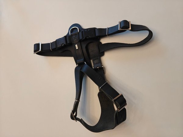 galleryimage 3