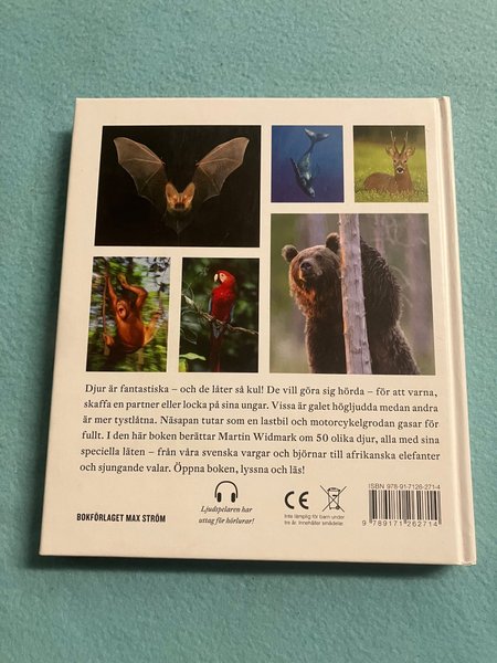 galleryimage 2 zoomed in