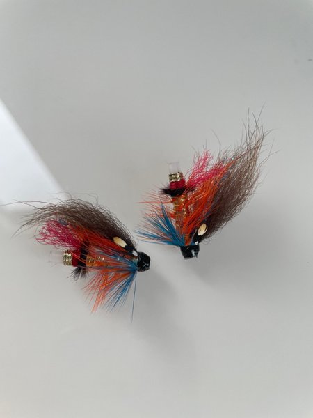 galleryimage 2 zoomed in