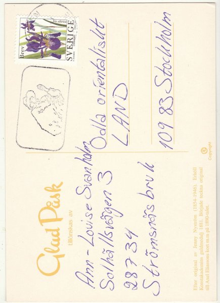galleryimage 2