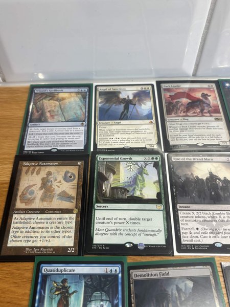 galleryimage 2
