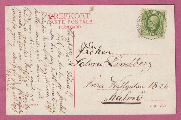 galleryimage 2 zoomed in