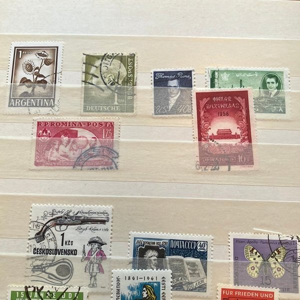 galleryimage 3