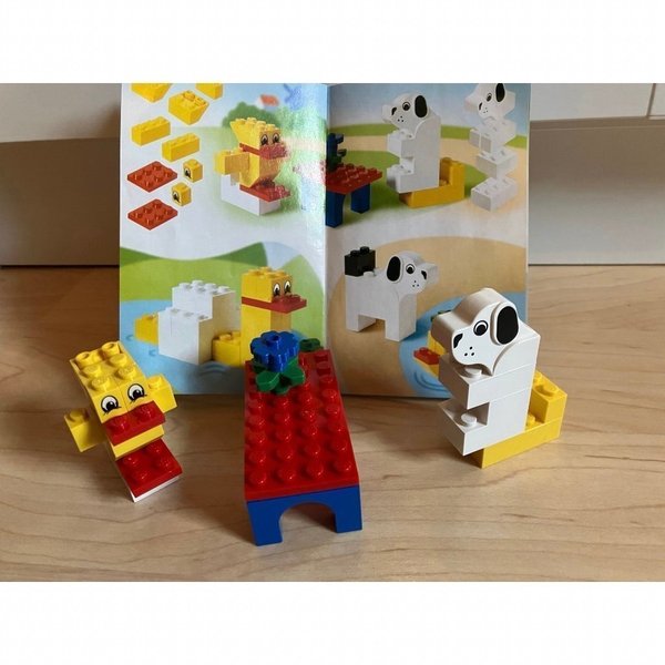 galleryimage 2