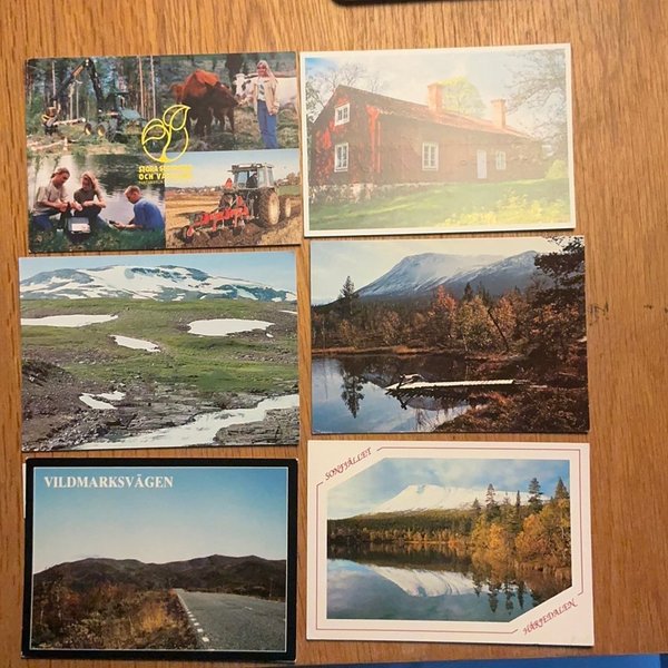 galleryimage 3