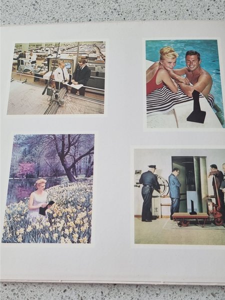 galleryimage 2