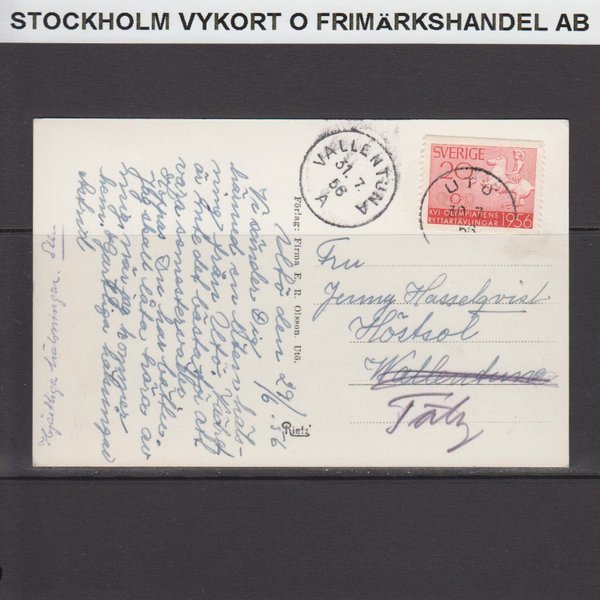 galleryimage 2 zoomed in