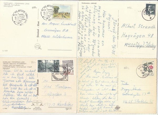galleryimage 2