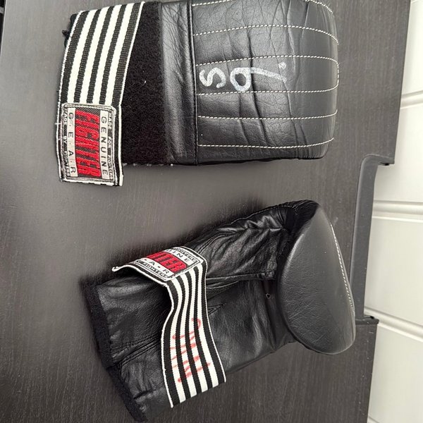 galleryimage 2 zoomed in