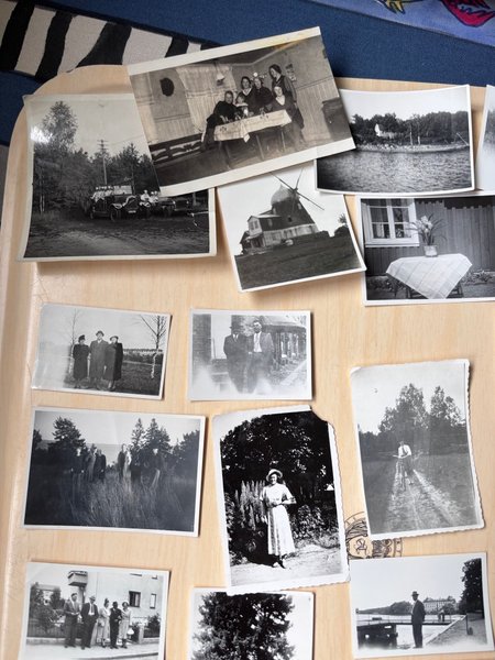 galleryimage 3