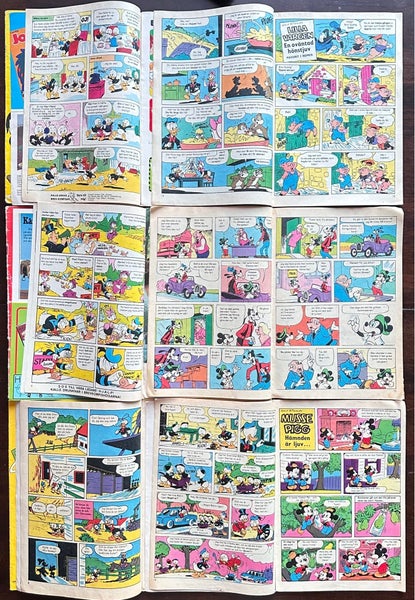 galleryimage 2