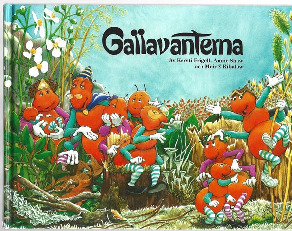 galleryimage 2