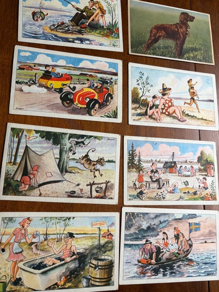 galleryimage 3